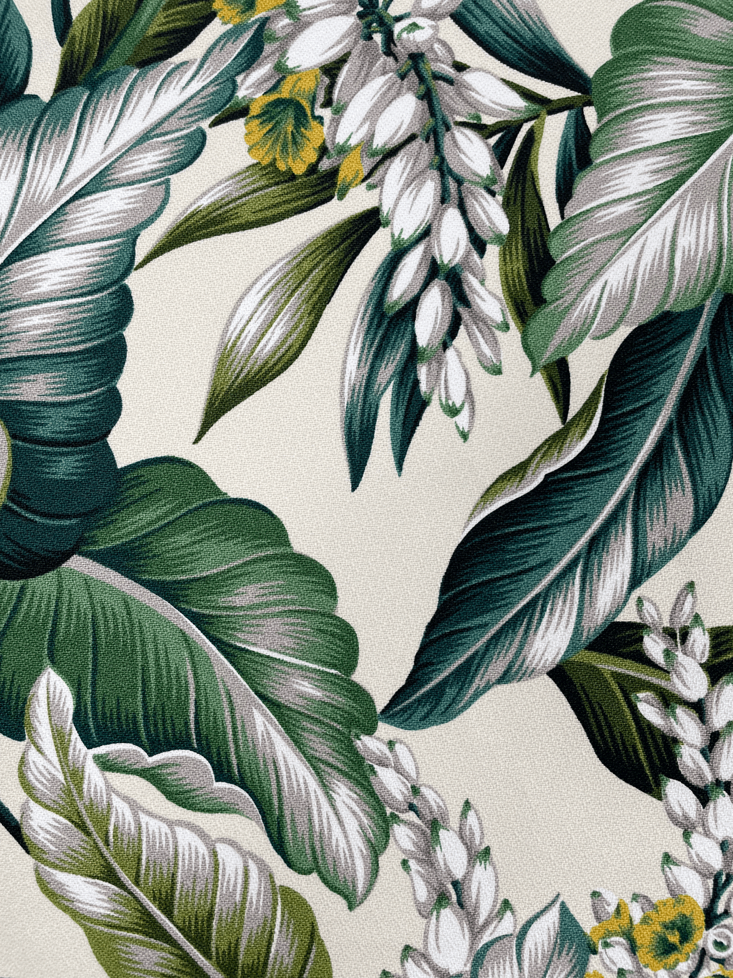 Cream Shell Ginger 12" x 12" Swatch Samples